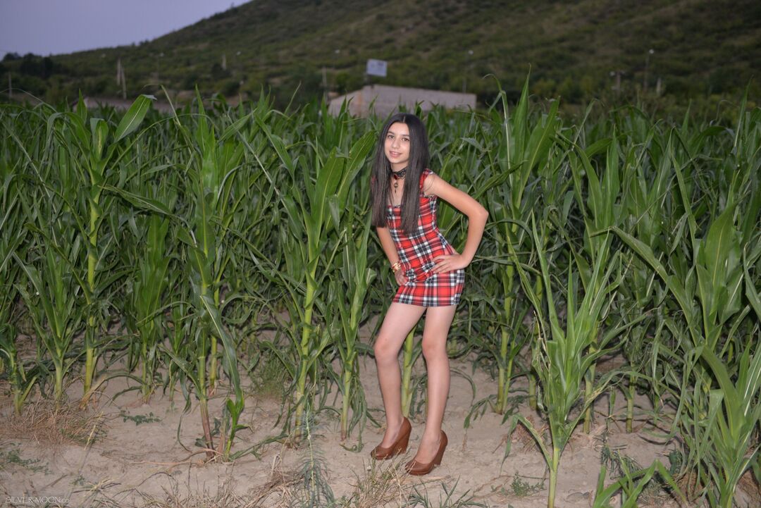 Moon_Teia精美套图第二十五弹(105P)